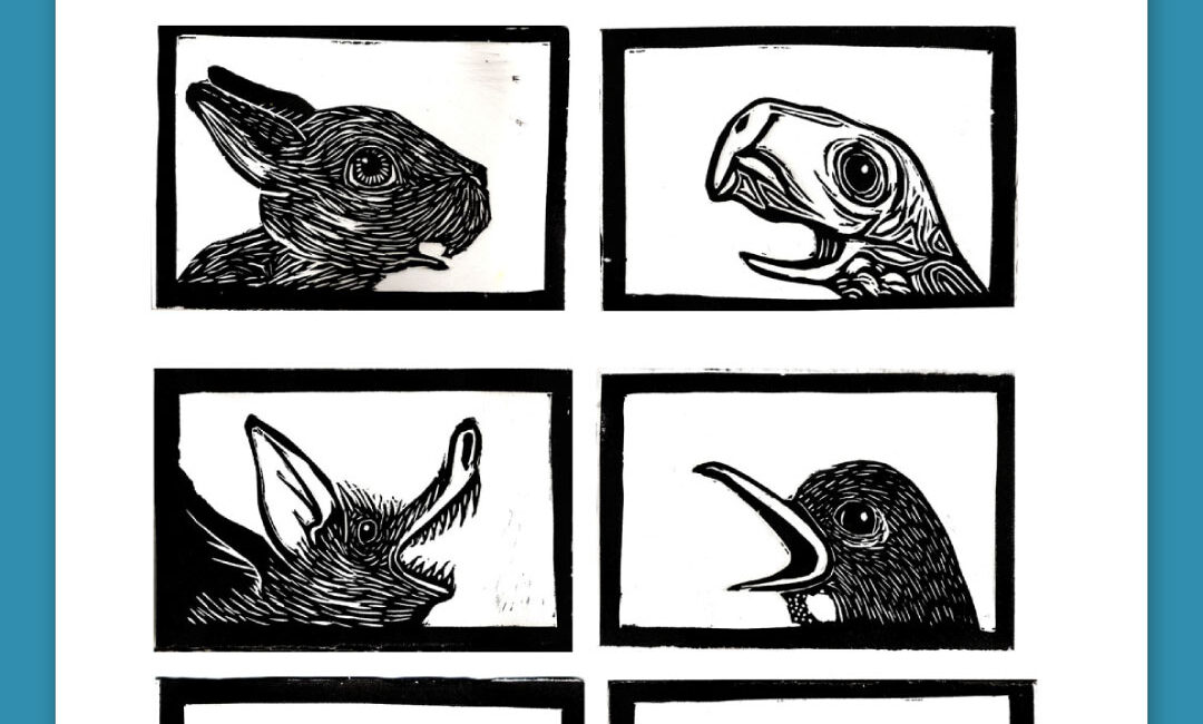 cose illustrate, federica tumminello, illustrazione, Torino, illustratore a Torino, stampa, linocut, illustration, grafica, design